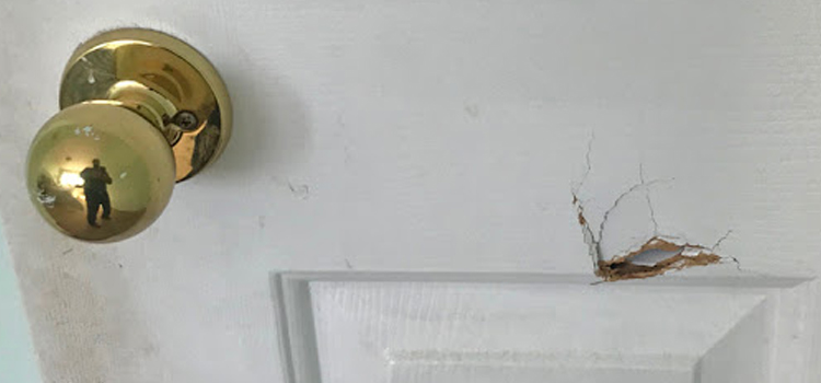 interior door hole repair Selma