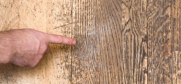 Wood Door Scratch Repair in Selma